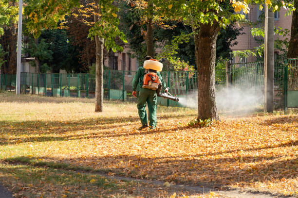 Best Best Pest Control Companies  in Shamrock, TX